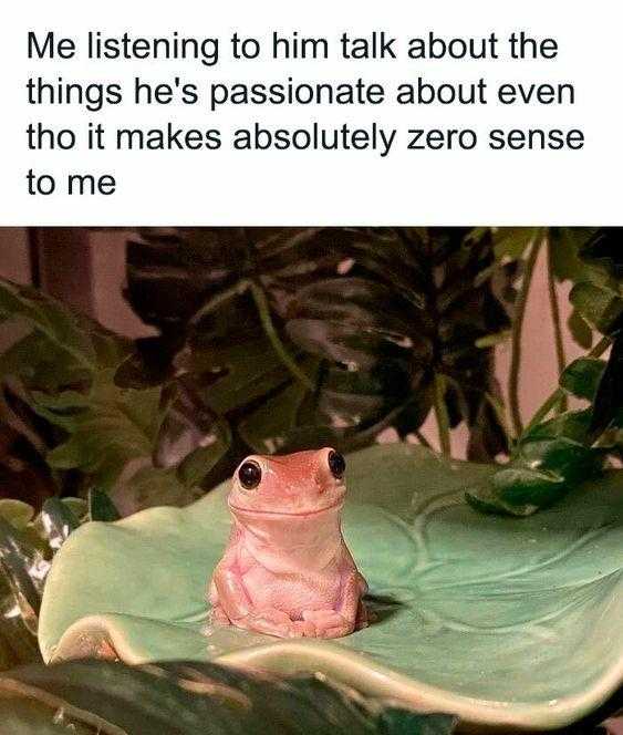 a close up of a frog sitting on a leaf in a plant