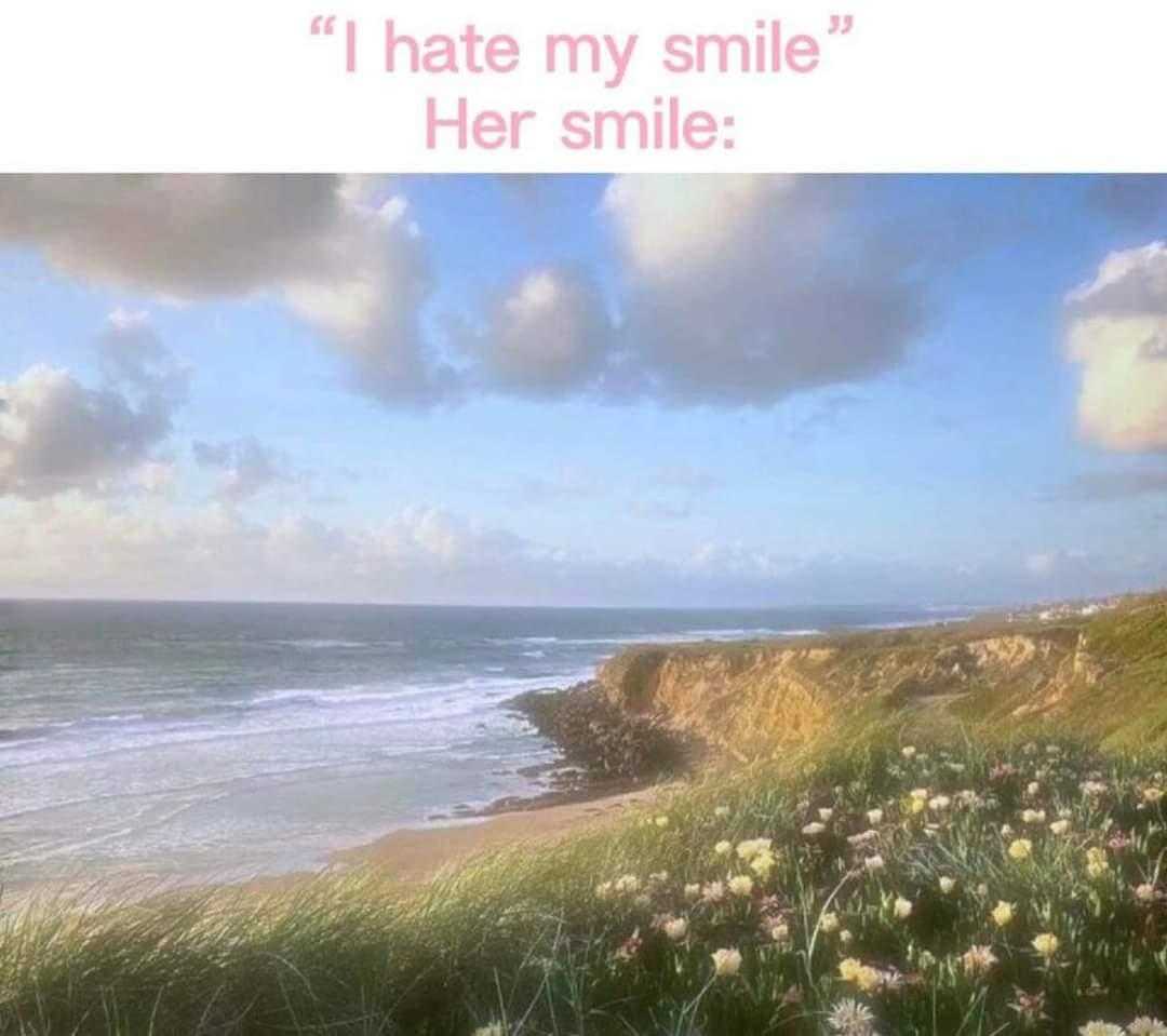 there is a picture of a picture of a beach with flowers