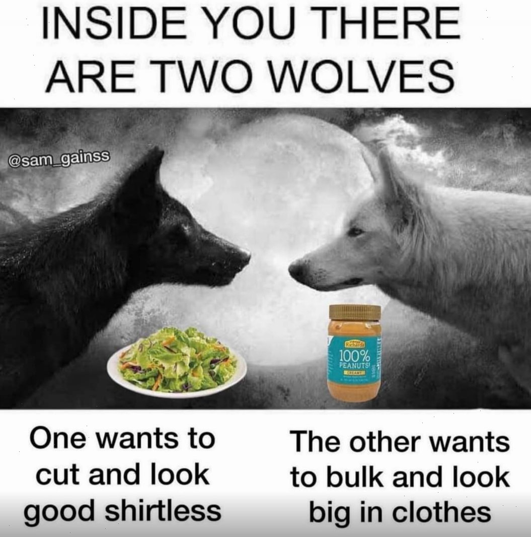 there are two wolves eating food out of a bowl