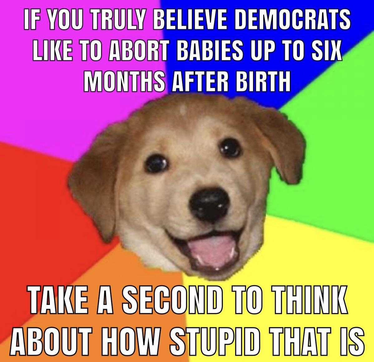 arafly cute dog with a caption saying if you truly believe democratss like to adopt babies up to six months after birth take a second to think about how stupid that is