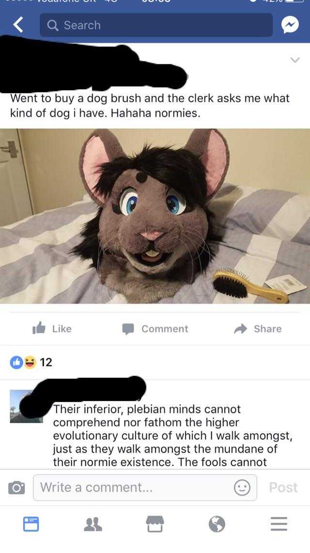 a close up of a stuffed animal on a bed with a caption