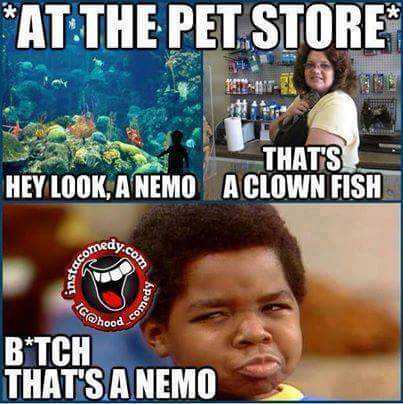 there are two pictures of a kid that are in front of a fish tank