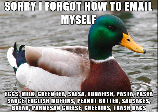 duck in the water with caption saying sorry forgot how to email myself