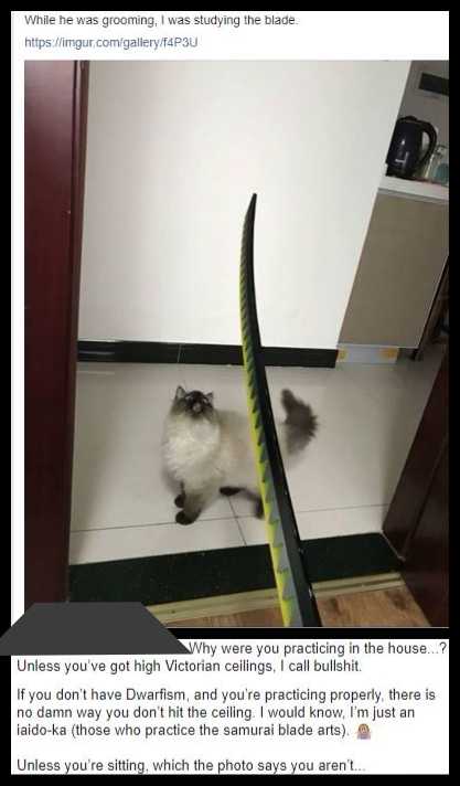 there is a cat that is standing on a floor with a sword