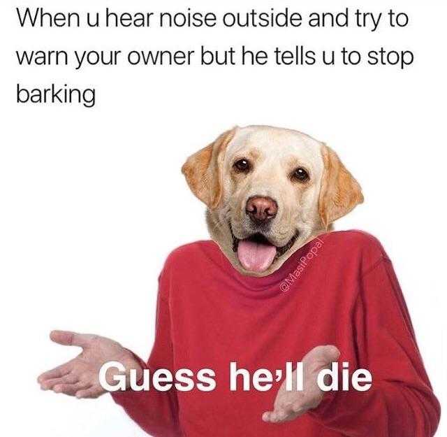 dog wearing a red sweater with a caption saying, when he raise outside and try to warm your owner but he tells us to stop barking