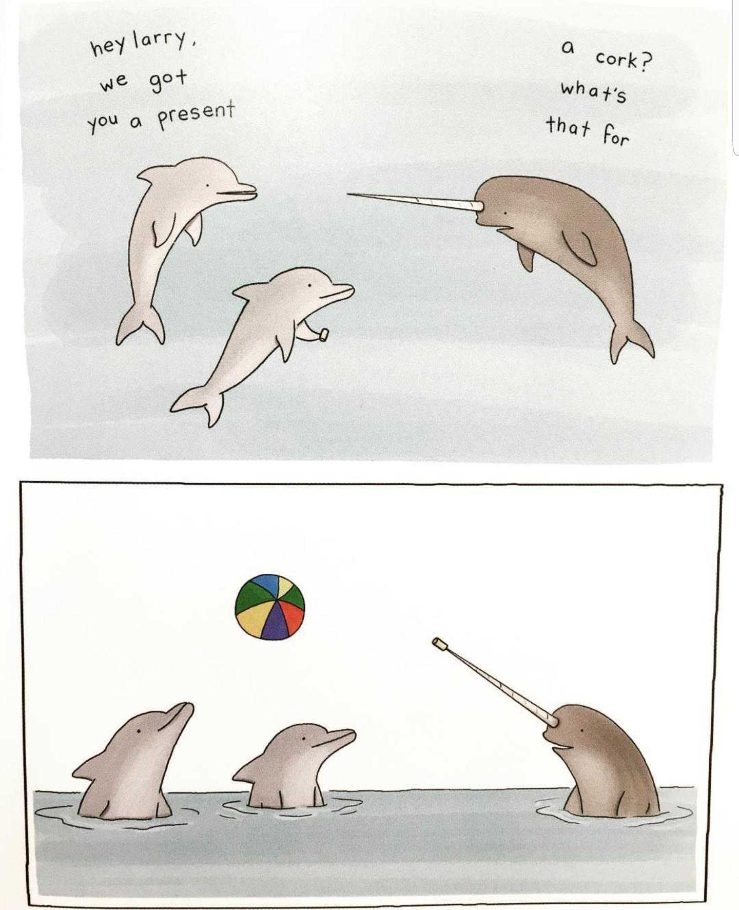 cartoon of a dolphin and a dolphin playing with a ball