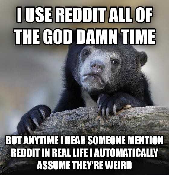 a bear that is sitting on a tree branch with a caption saying use reddit all of the good