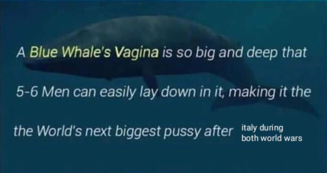 a blue whale is swimming in the ocean with a caption