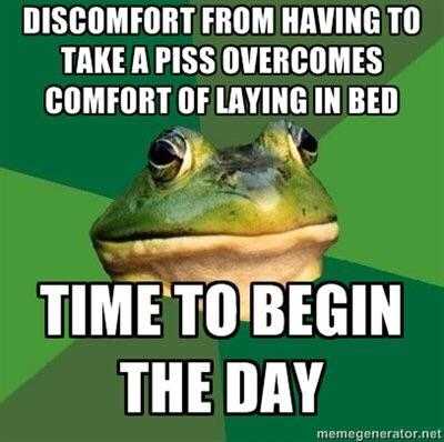 a frog with a caption saying, i don ' t have to sleep in bed