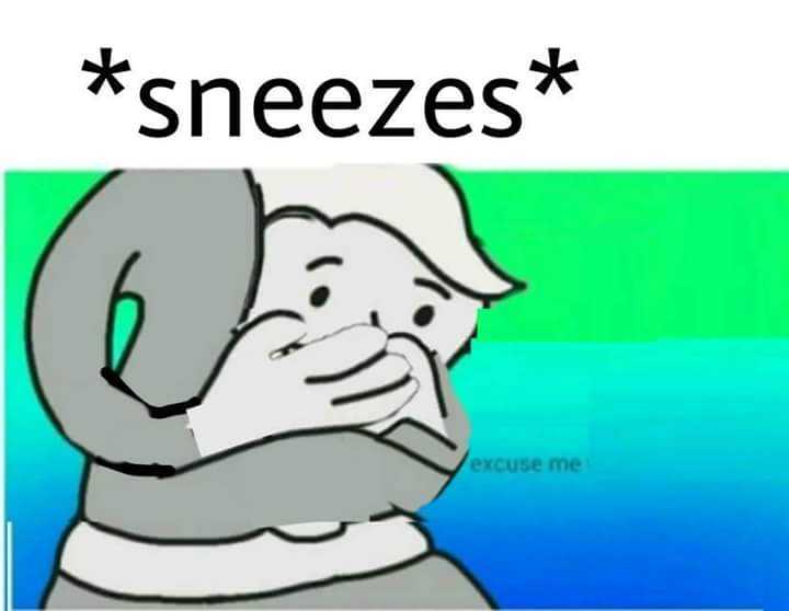 a cartoon picture of a person hugging a cat with the caption sneezes