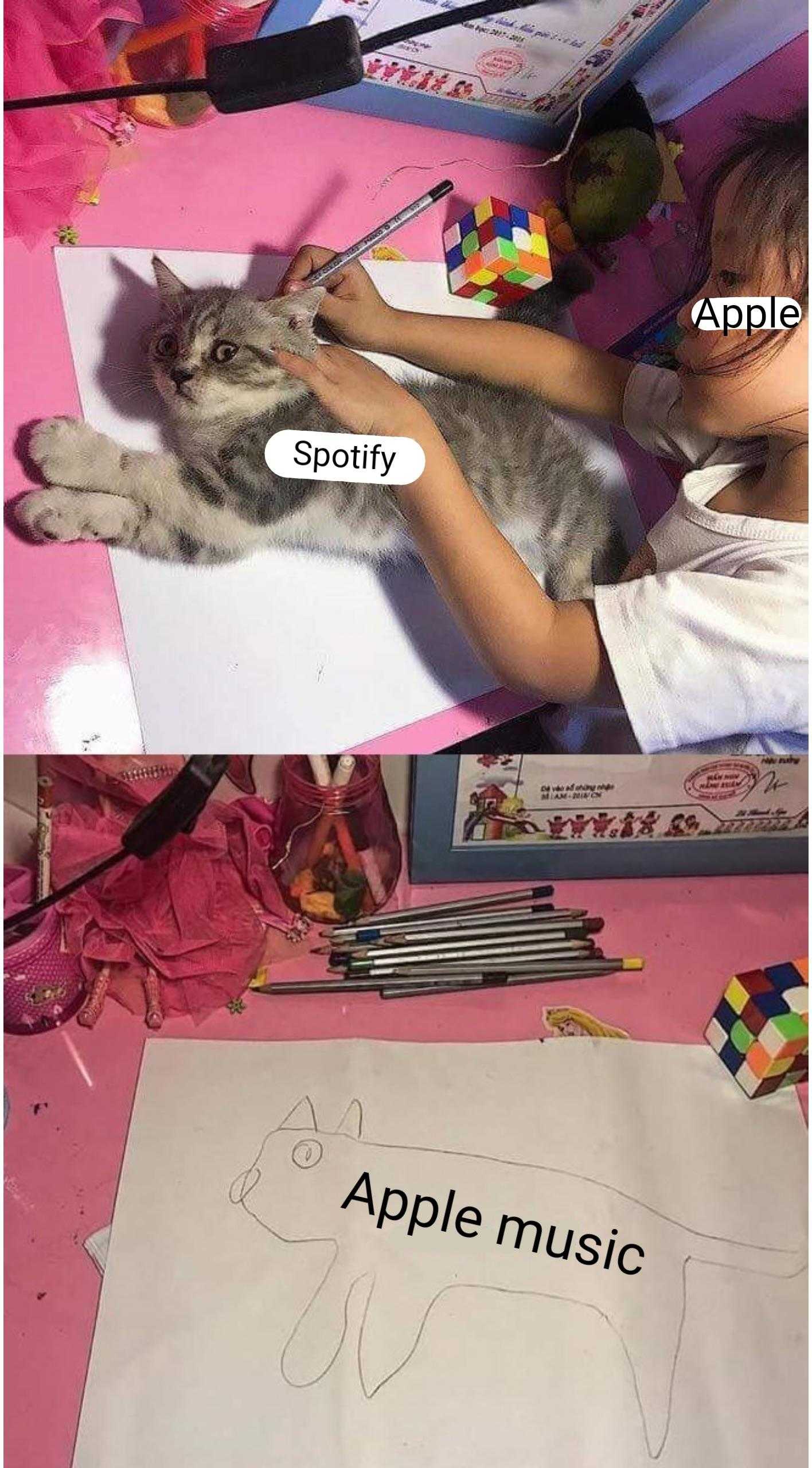 there are two pictures of a cat that is sitting on a table