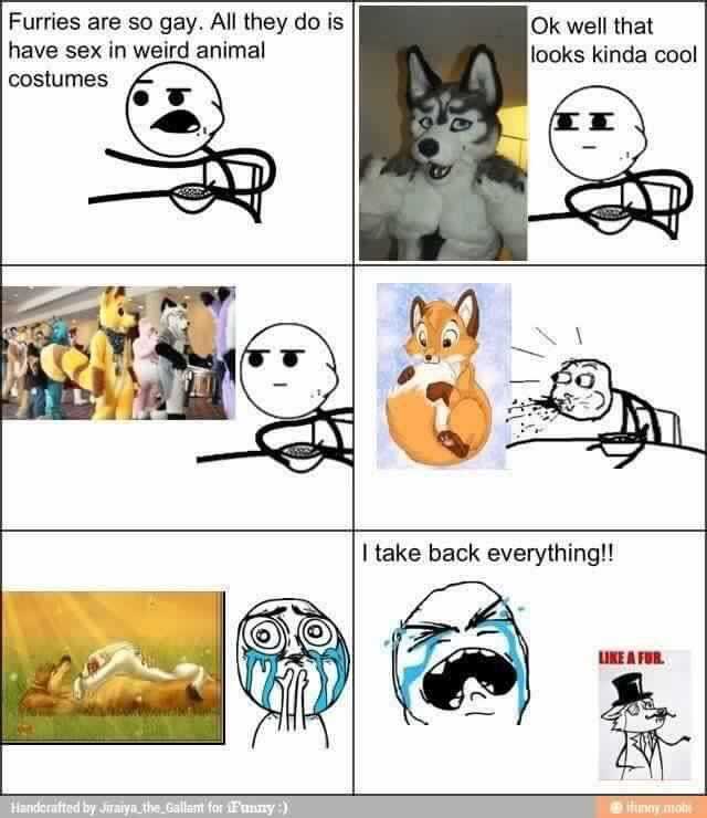 a cartoon picture of a dog and a cat with caption of the same picture