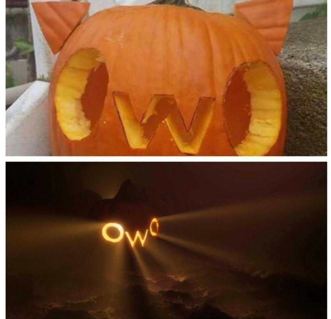 a close up of two pictures of a pumpkin carved into a cat