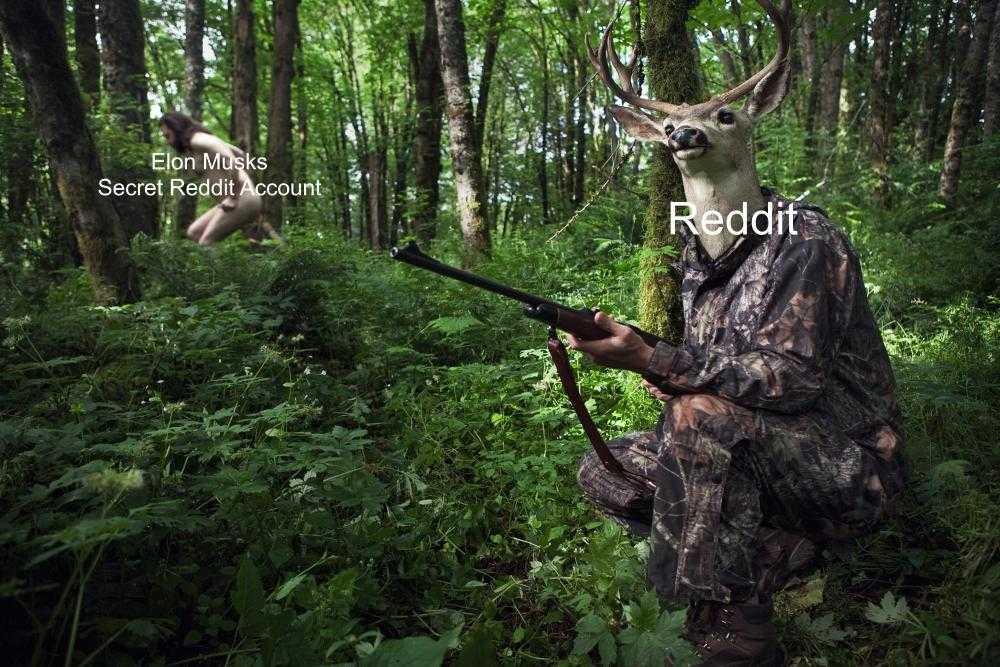 deer with a gun in a forest with a caption that reads secret hunting account