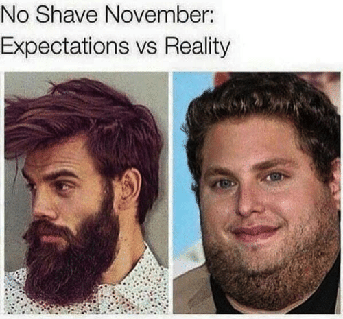 there are two men with beards and no shave november expectations vs reality