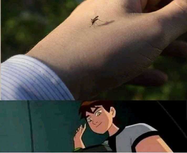 a close up of a person holding a small insect on their arm