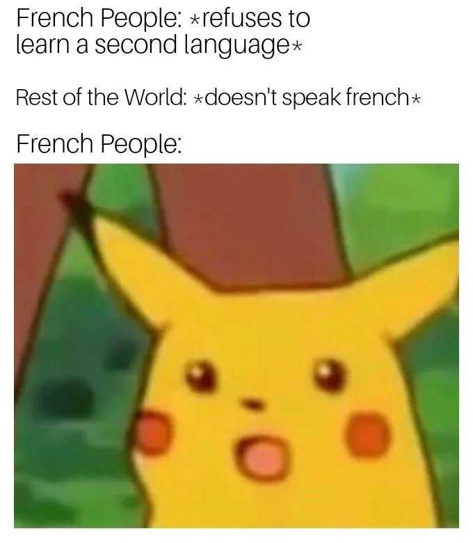 a cartoon picture of a pikachu with a caption that reads, when you ' re learning french people ' s languages rest of the world doesn ' t speak french people