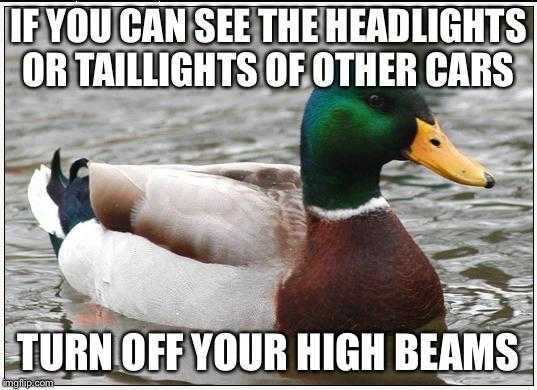 duck in the water with caption saying if you can see the headlights or taillights of other cars turn off your highbeams