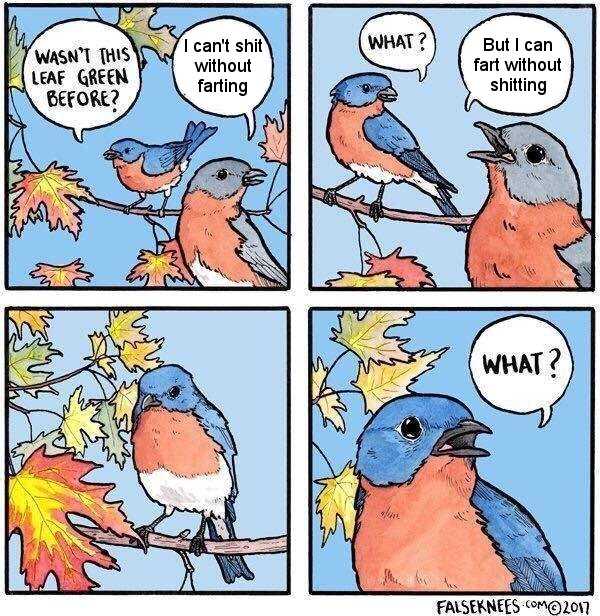 a cartoon of a bird sitting on a branch with a speech bubble