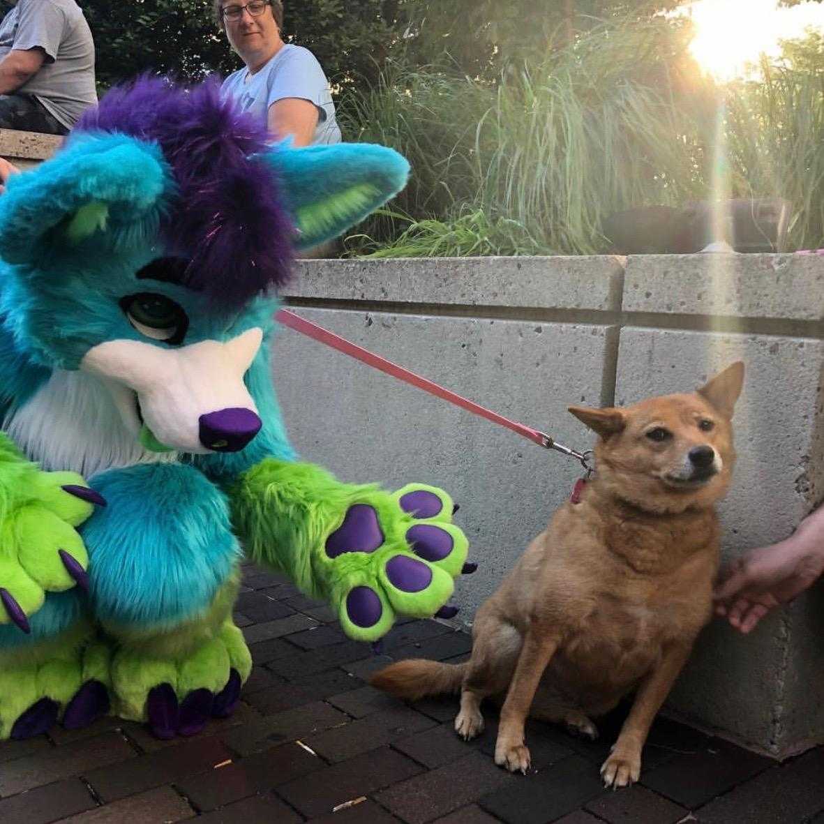 there is a dog that is standing next to a stuffed animal