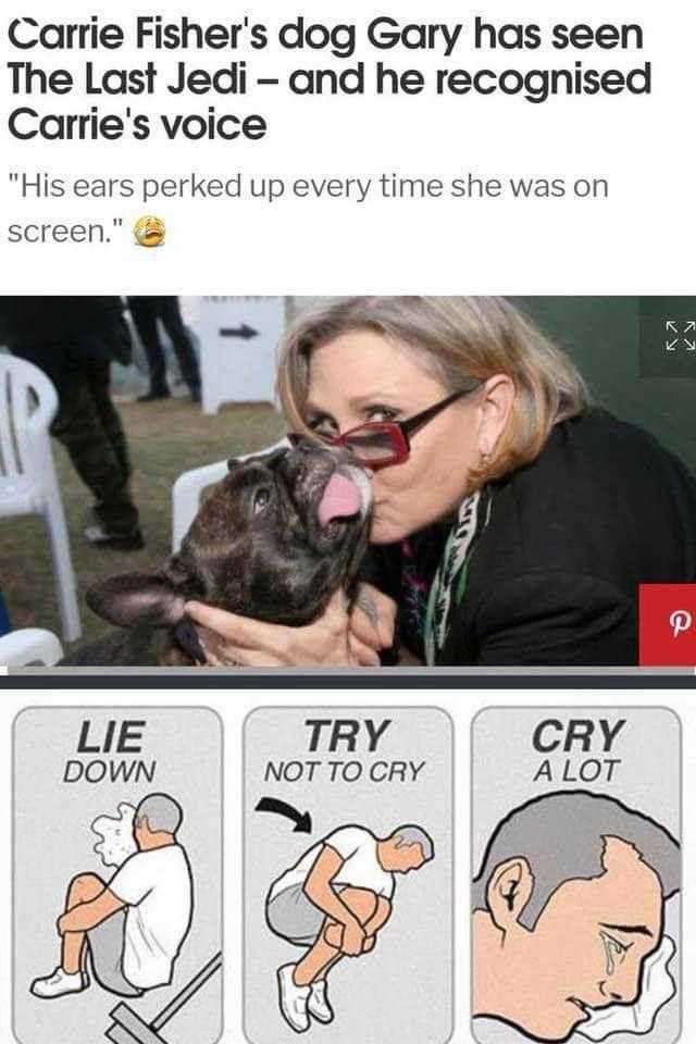 image of a woman kissing a dog with a caption of the caption