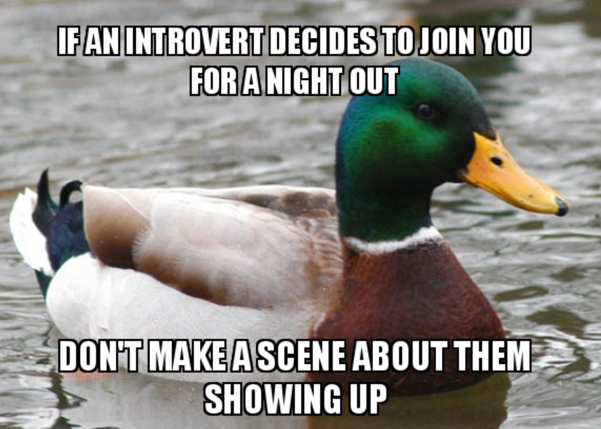 a close up of a duck in the water with a caption saying if an introent decides to join you for a night out don ' t make a scene about them showing up