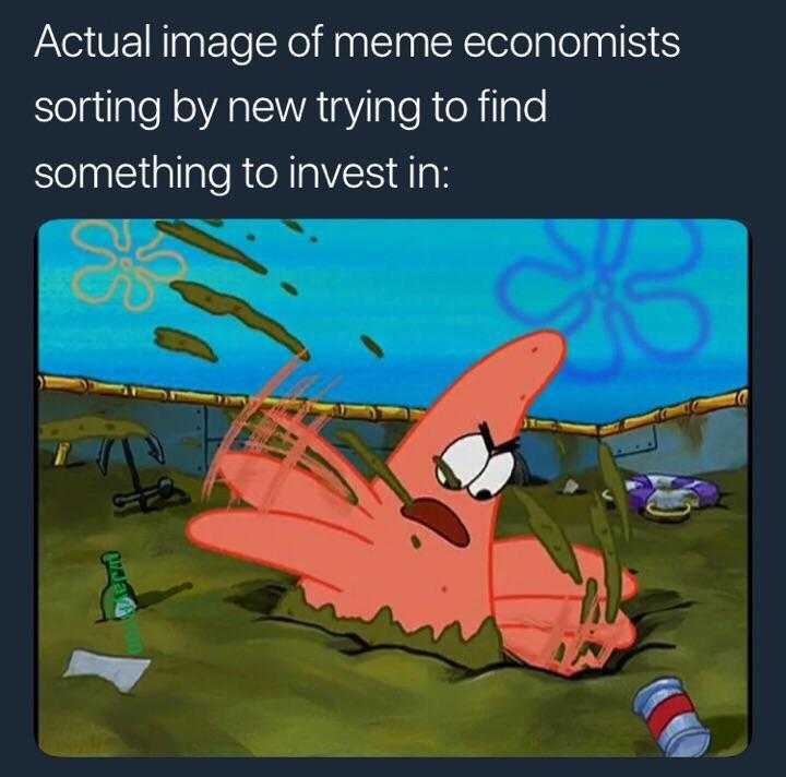 cartoon of a pink spongeach with a caption saying, actual image of meme ecologists sorting new