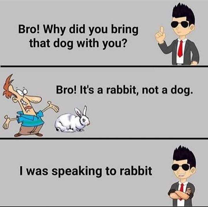 cartoon of a man in a suit and sunglasses with a dog and a rabbit