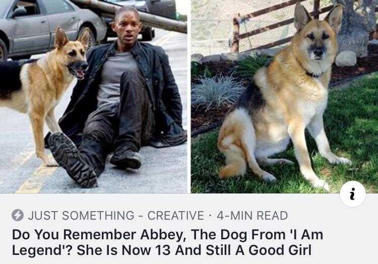 dog sitting on the ground next to a man with a dog