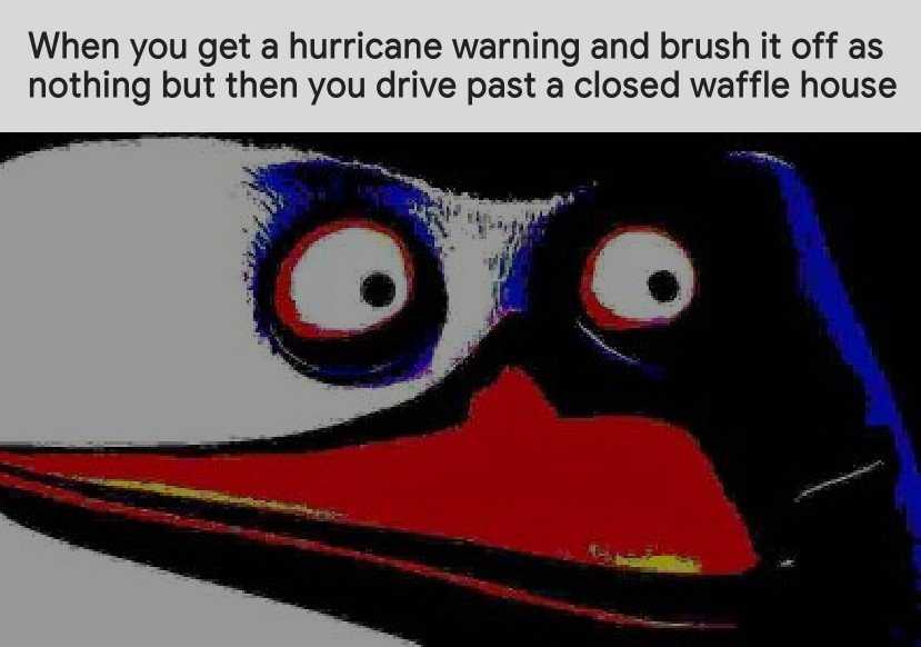 cartoon of a bird with a red beak and a caption that reads when you get a hurricane warning and brush it off, nothing but you drive past a closed microwave