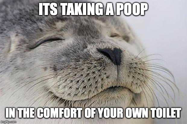 seal with its eyes closed and its mouth open, with caption saying it ' s taking a pop in the comfort of your own toilet