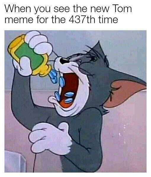 cartoon cat drinking from a bottle with caption saying when you see the new tom theme for the 437