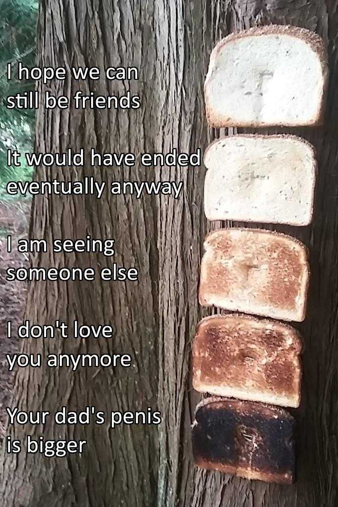 there are four slices of bread on a tree with a poem