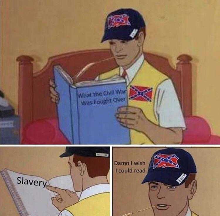 cartoon of a man reading a book with a confederate flag on it