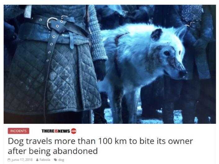 a close up of a person standing next to a white dog