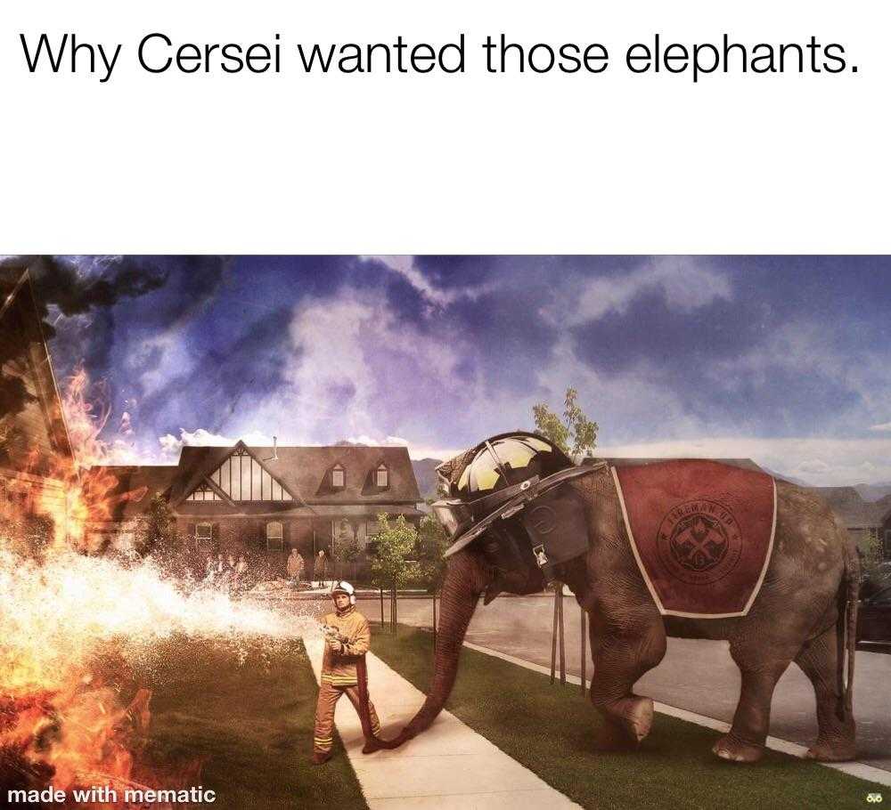 someone is trying to put out a fire with an elephant