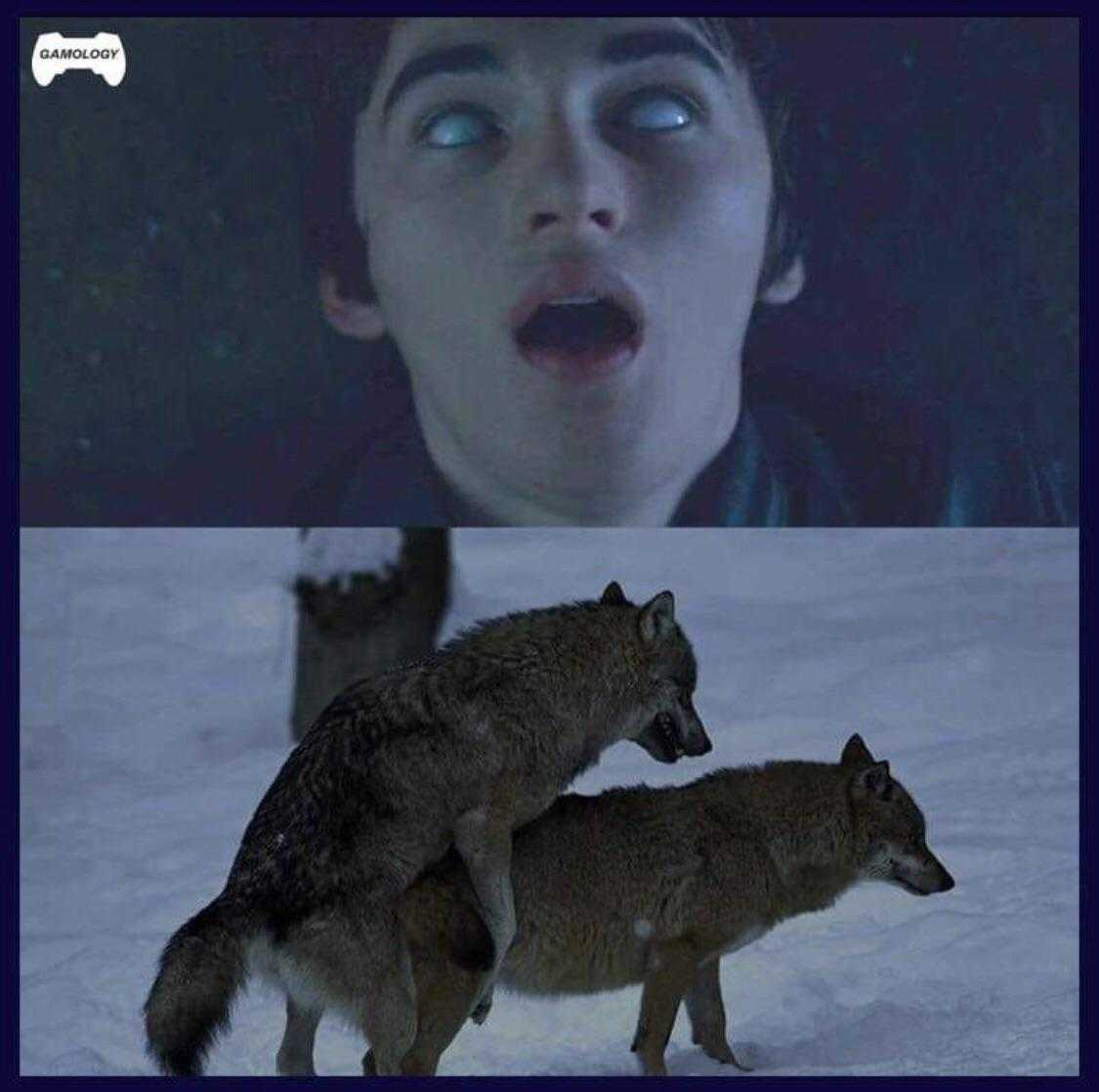 there are two pictures of a man and a wolf in the snow