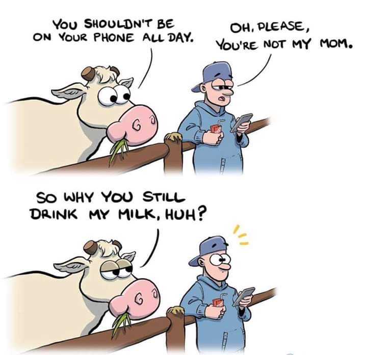 cartoon of a cow talking to a man on the phone