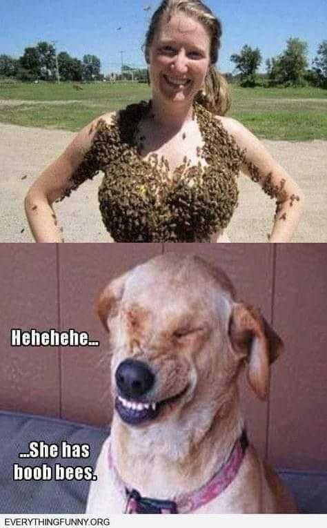 dog and a woman with a beehive on their head