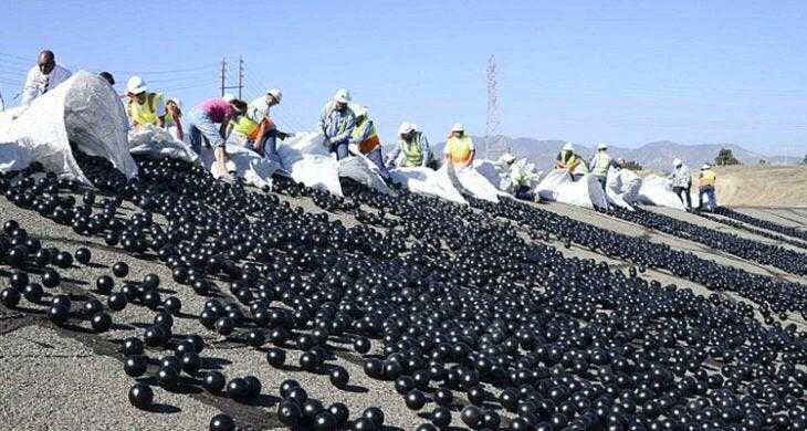 people are gathered around a large pile of black balls