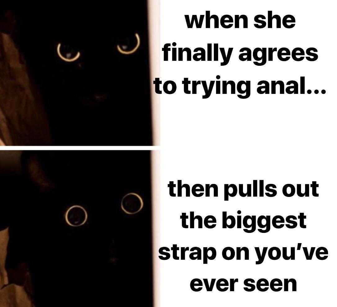 there are two pictures of a black cat with a caption of the same picture