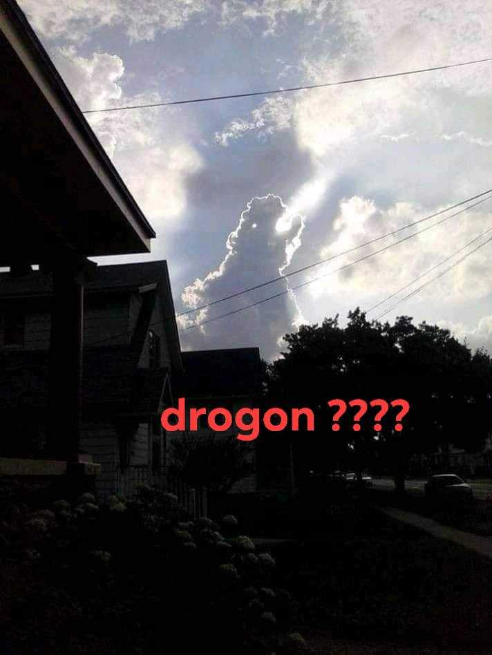 image of a cloud with the word dragon on it