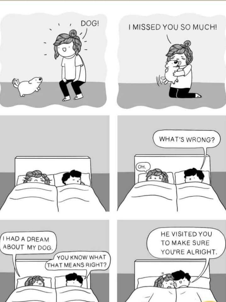 a cartoon of a woman and a cat are in bed