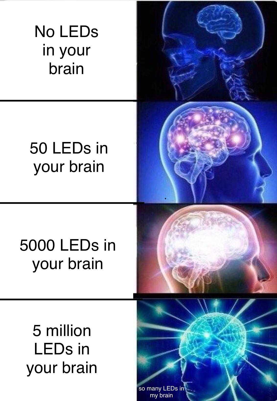 a picture of a picture of a brain with the words, ' no leds in your brain '