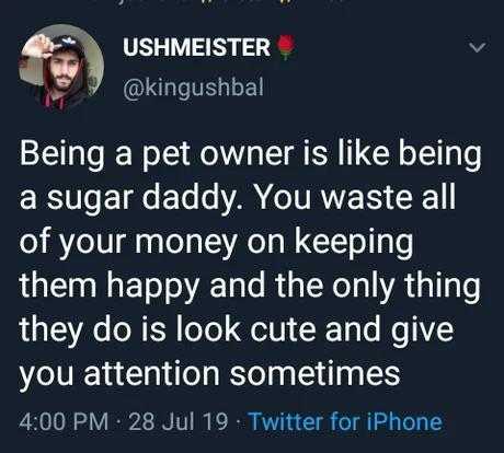 a tweet message from a man about being a pet owner