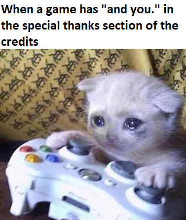 there is a kitten that is playing with a video game controller