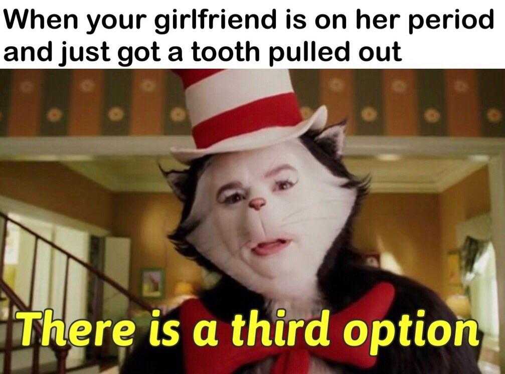 cat in the hat with caption saying when your girlfriend is on her period and just got tooth pulled out