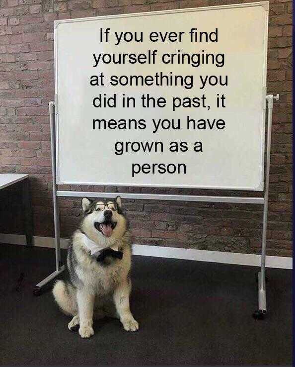 husky dog sitting in front of a white board with a quote on it