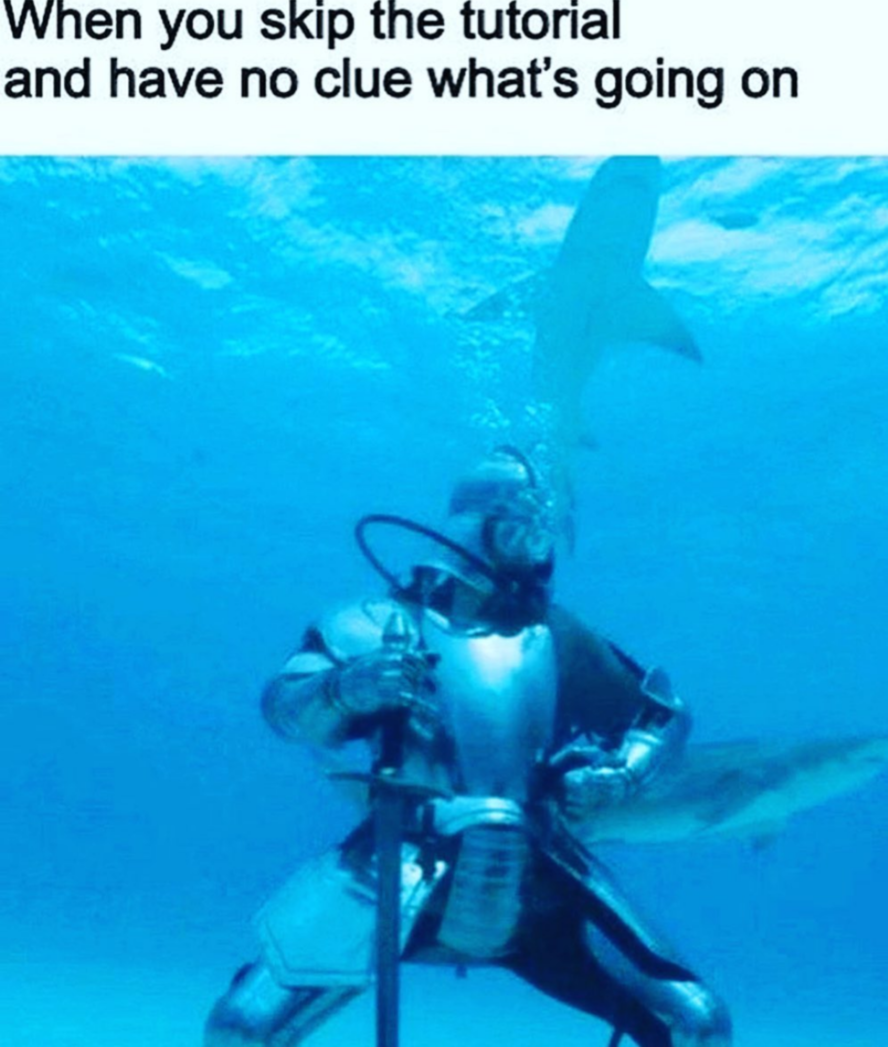 someone is diving with a shark and a scuba diver