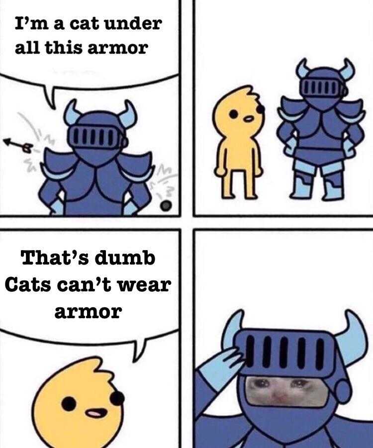 cartoon of a cat and a dog in armor with caption saying that ' s dumb, cats can ' t wear armor